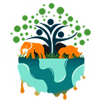 BSF logo